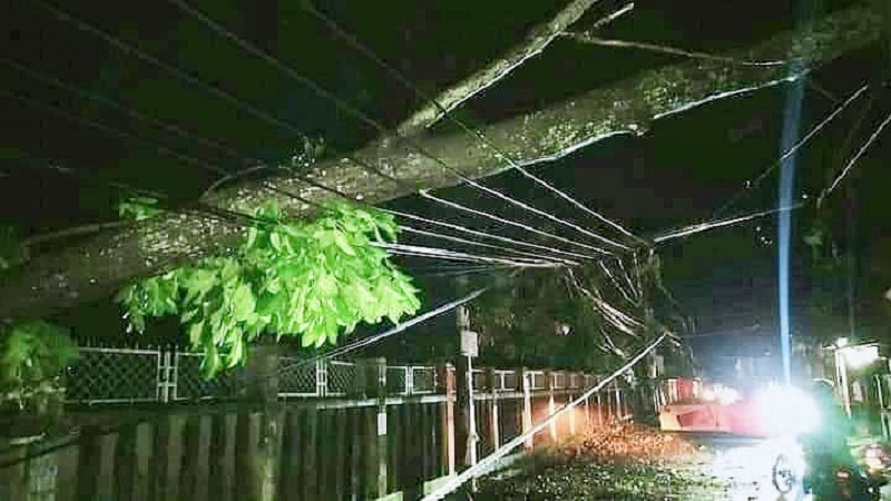 ১৫ মিনিটের প্রলয়ংকারী ঝড়ে লণ্ডভণ্ড হবিগঞ্জ